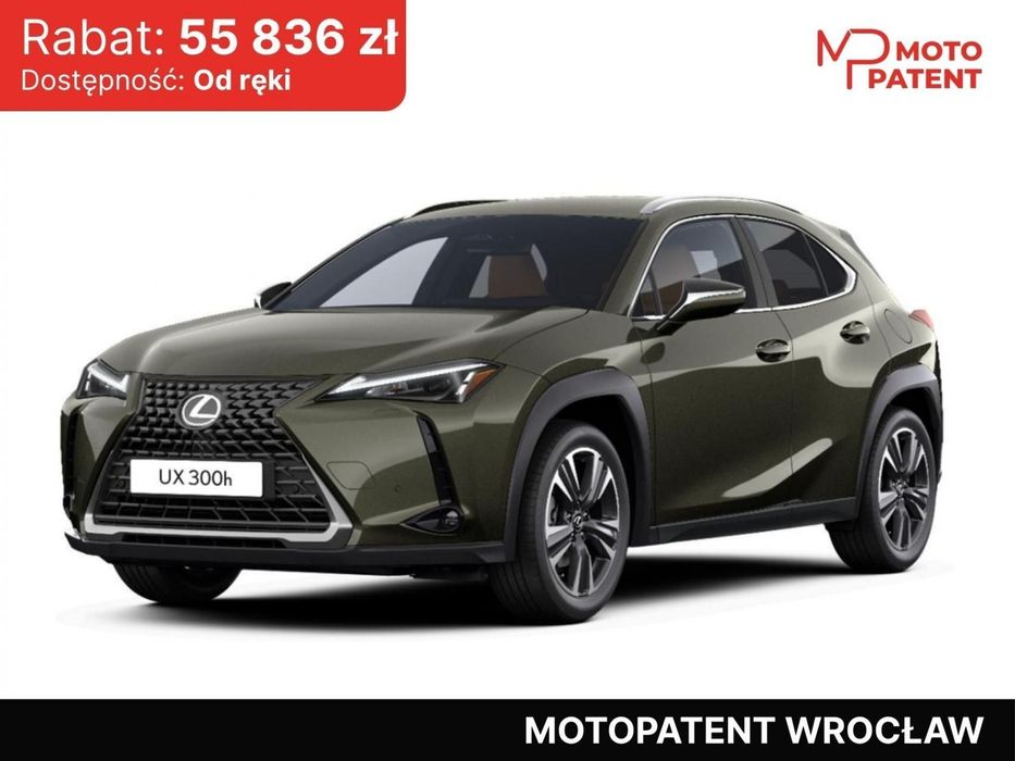 Lexus UX 300h Business