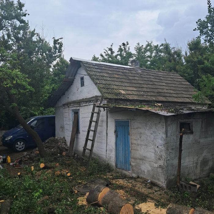 Спил Деревьев Уборка участка. Демонтаж зданий. Спил деревьев. Культива