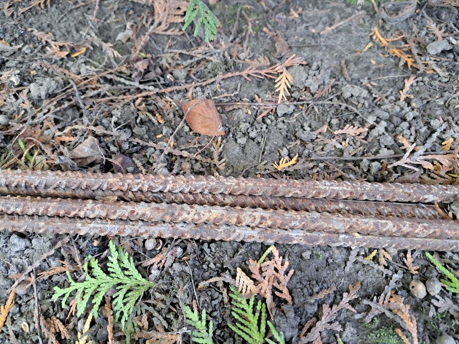Pręt stalowy żebrowany fi 10 mm długość max 10 m