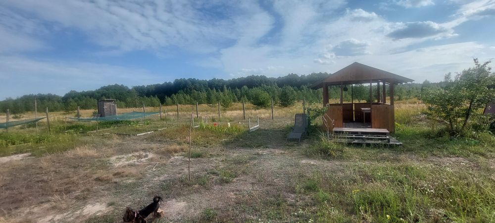 Земельна ділянка