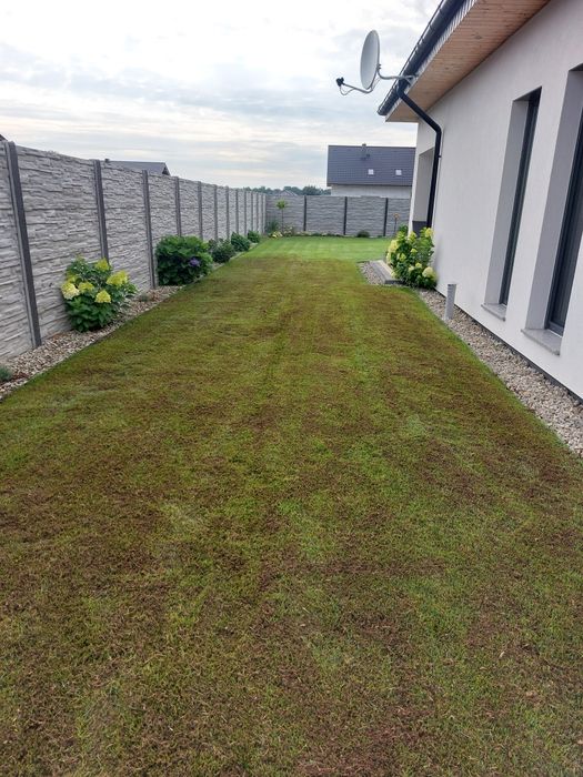 Aeracja z wykorkiem piaskowanie wertykulacja trawnikow