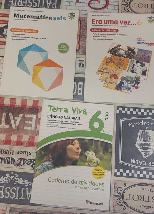 Vendo caderno de fichas varios anos preço acessível