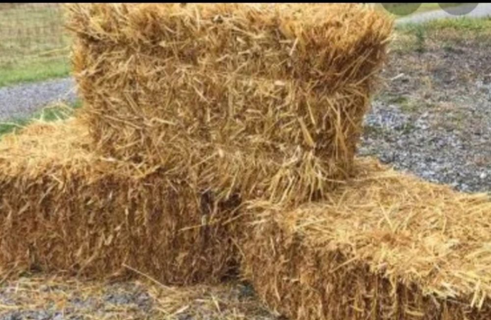 Fardos Palha De Azevem  3.5€ unidade