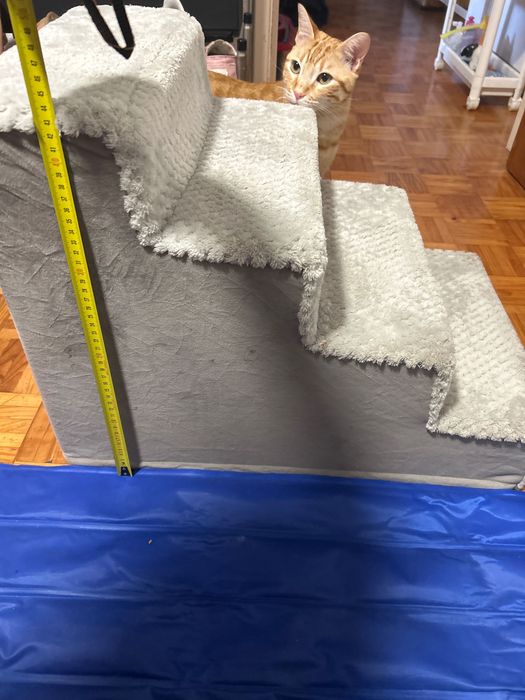 Escadas para cão pequeno