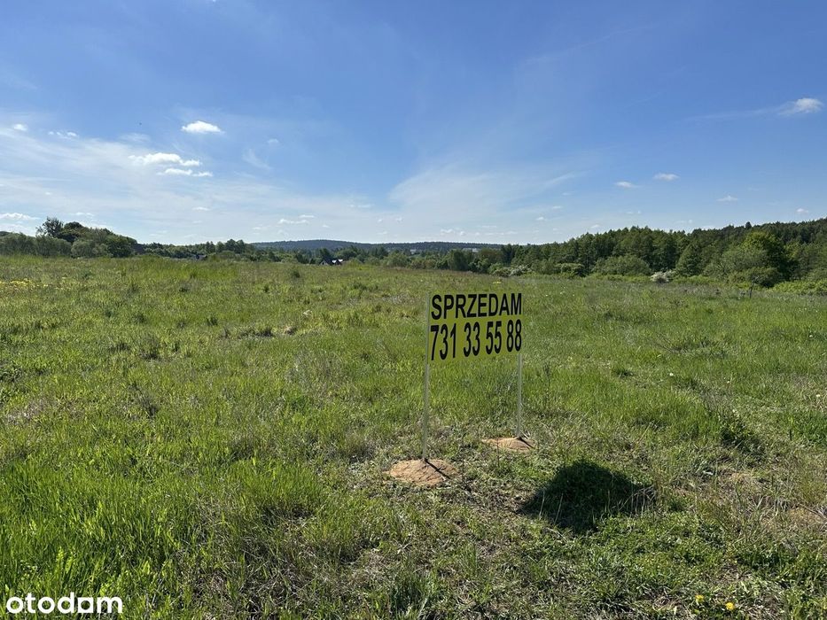 Piękne działki budowlane w otoczeniu lasu i jeziora
