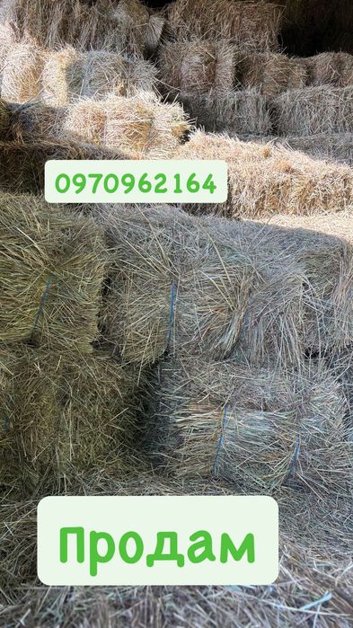Продам недорого лугове сіно,солома