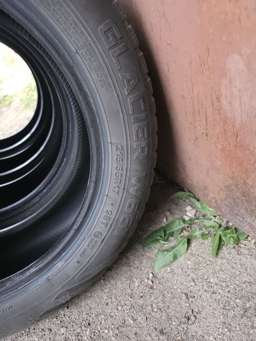 Зимові шини Petlas Glacier W661 215/55 r17