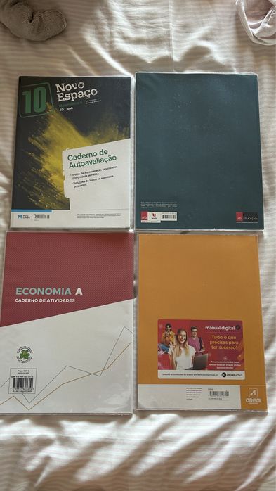 10th-grade activity notebooks, math, economics, philosophy, Portuguese64752037015938121