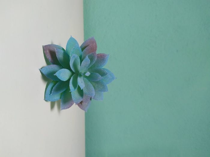 Artigos de decoração para casamento/festas
