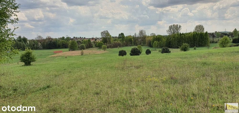 7 z 10 działek budowlanych Toporowice