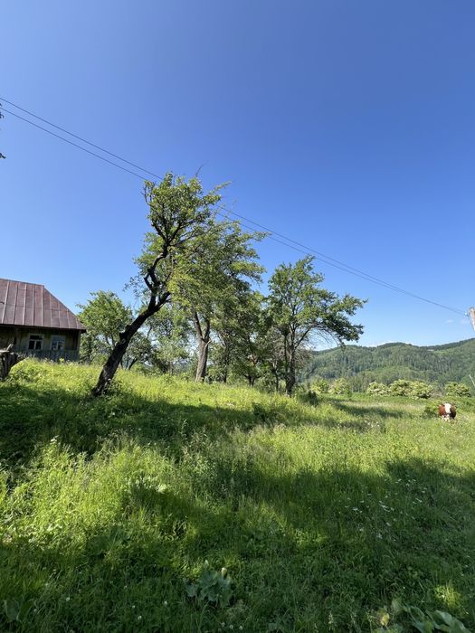 Продам ділянку в горах з гарним краєвидом