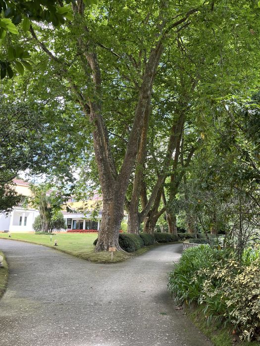 Коавіатура Logitech нова