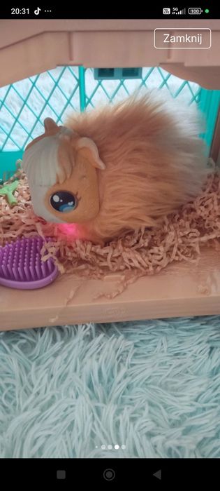 Little live pets świnka z młodymi