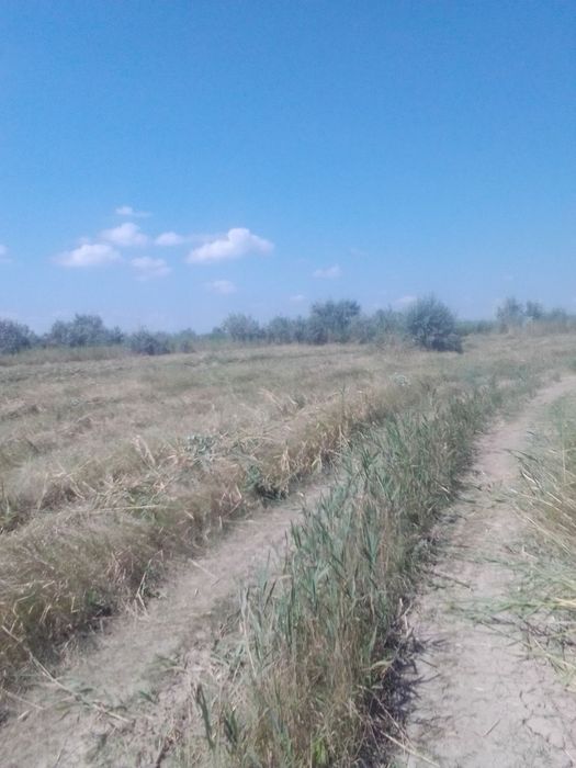 Внимание! Свой берег реки участок 20 соток с.Новосёловка