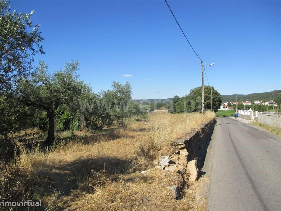 Terreno / Fundão, Donas — Fundão, Valverde, Donas, Aldeia De Joanes E Aldeia Nova Do Cabo, Castelo Branco