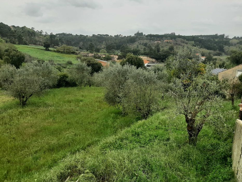 Moradia T3 para Arrendamento - Ourém (Próximo de Leiria)