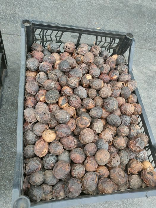 Продам грецкий орех