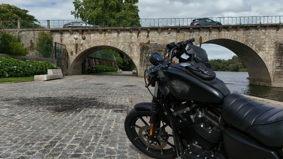 Harley-Davidson IRON 883 XL
