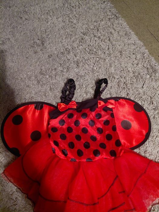 Strój karnawałowy biedronki