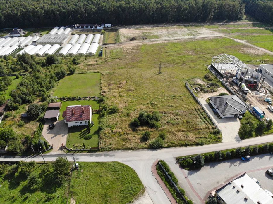 Działka budowlana w Bilczy 2461 m² ul. Osikowa - Widok 2