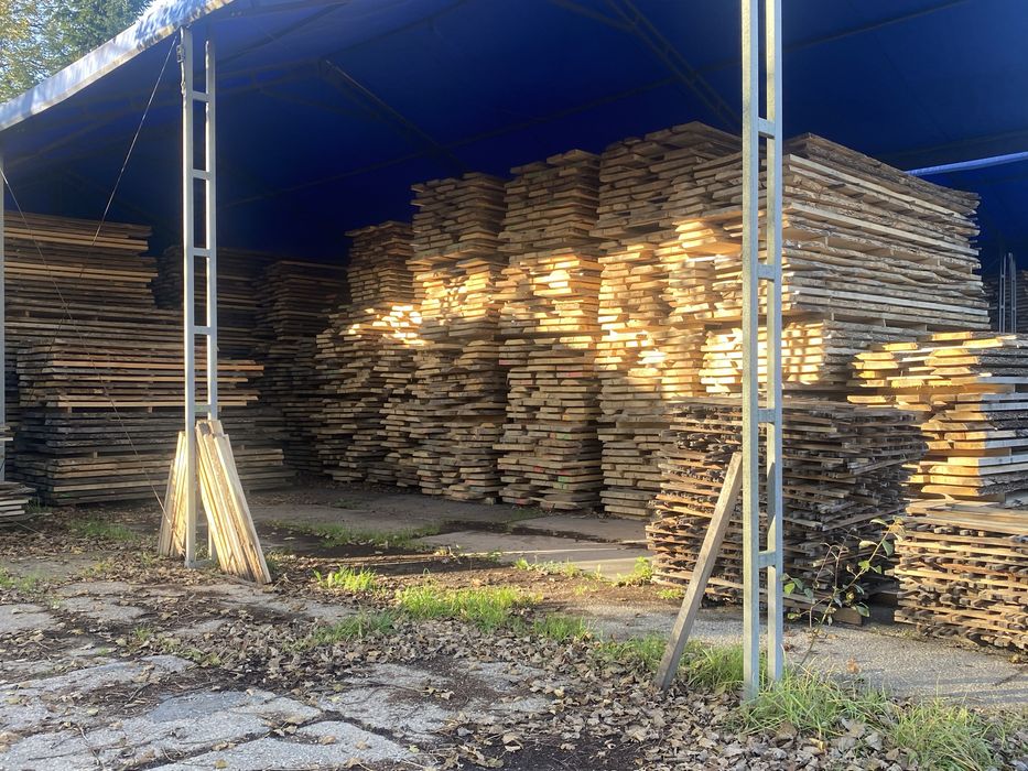 Tarcica 50 buk  parzony po suszarni