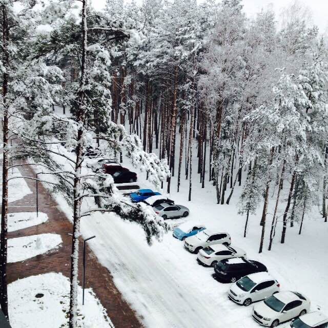 Посуточно. Аренда Буча 1-к кв. ЖК Парктаун