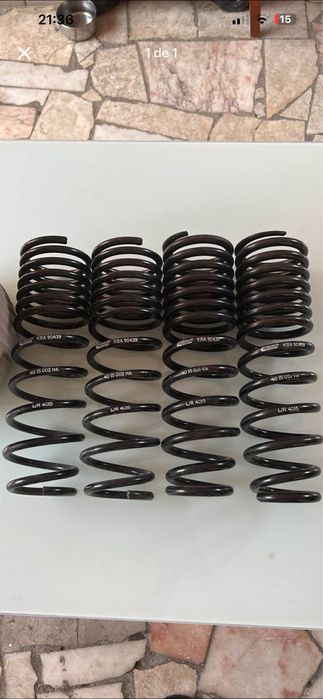Molas eibach Honda Civic (EJ1/EJ2)