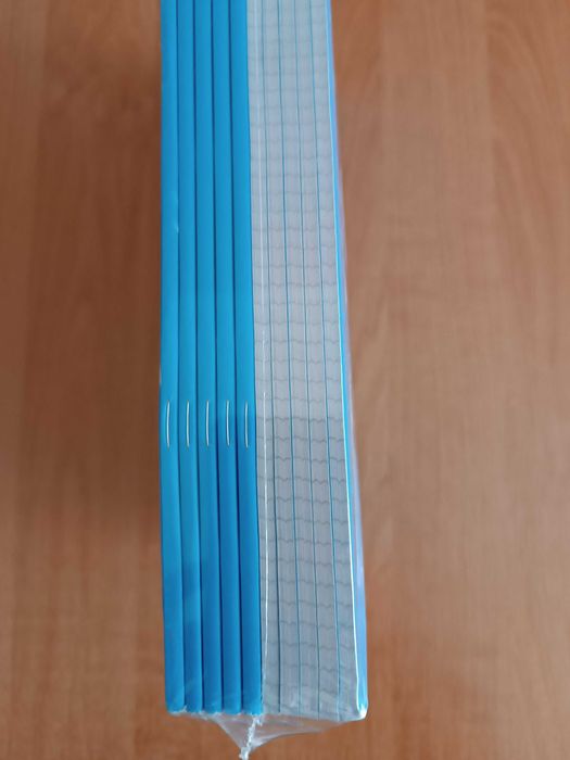 Зошити A4 Exercise Book в клітинку (10 штук)