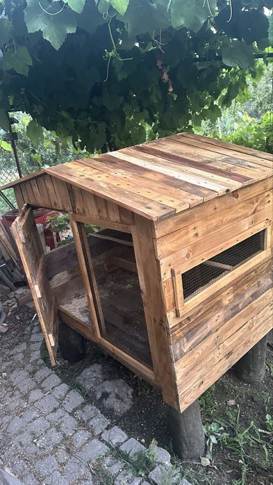 Casinha para frangos, passaros…