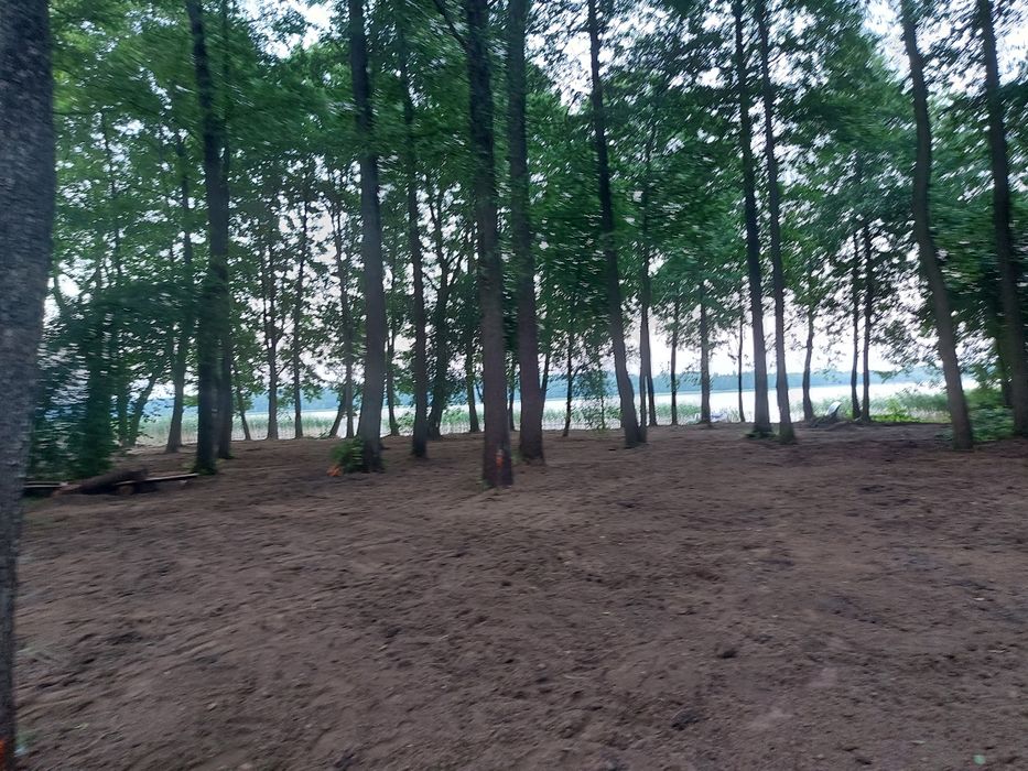 Roboty ziemne budowlane sprzatanie koparka wywrotka przyłącza wycinka