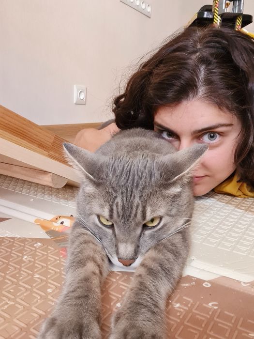 Перетримка тварин котів зооняня Мінська