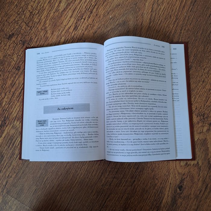 Ania z Avonlea wyd greg