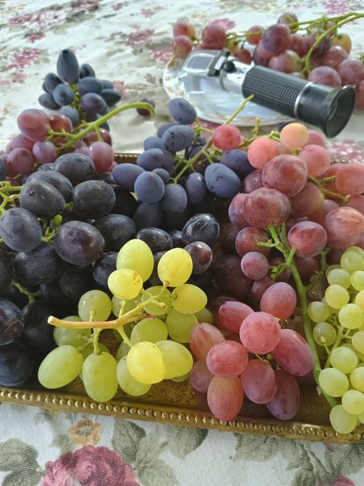 Продам домашний виноград