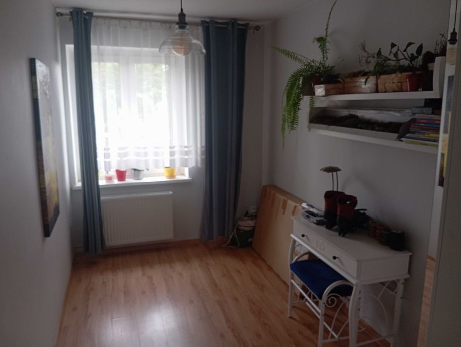 Wynajem pokoju 800zł