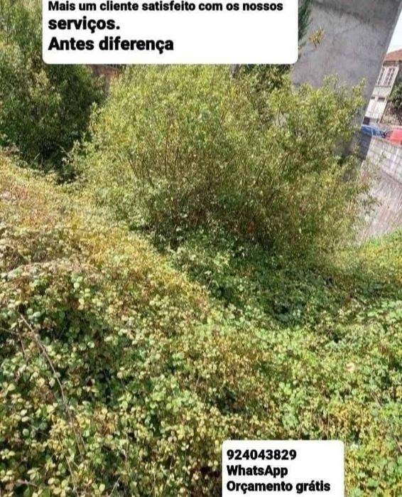 Faço limpeza geral Terrenos Jardins e Quintais com Rocadora Tb Faço Serviços Demolição Recolha Entulho Madeira Monos Resíduos Serviços Mudança