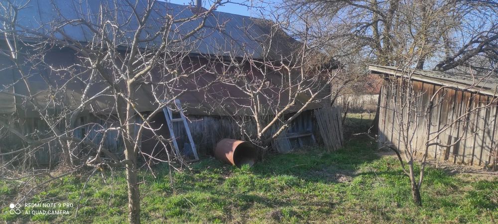Продам будинок по близу Чернігова з доглянутим садом і городом.