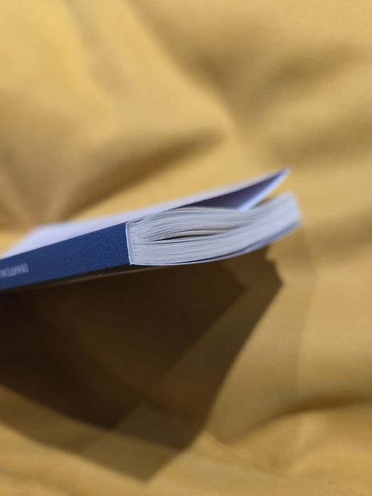 Книга Дадзай Осаму, Бракована Людина