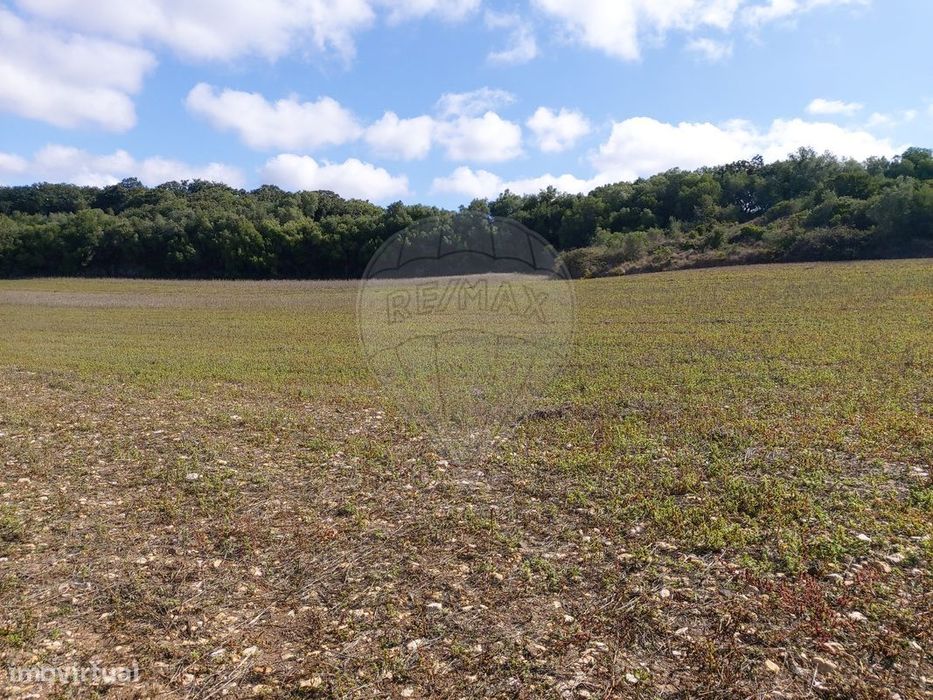 Terreno  para venda
