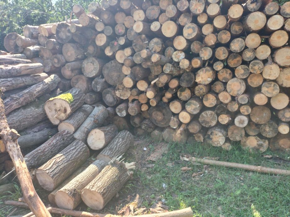 Drewno opałowe walki i gałeziówka