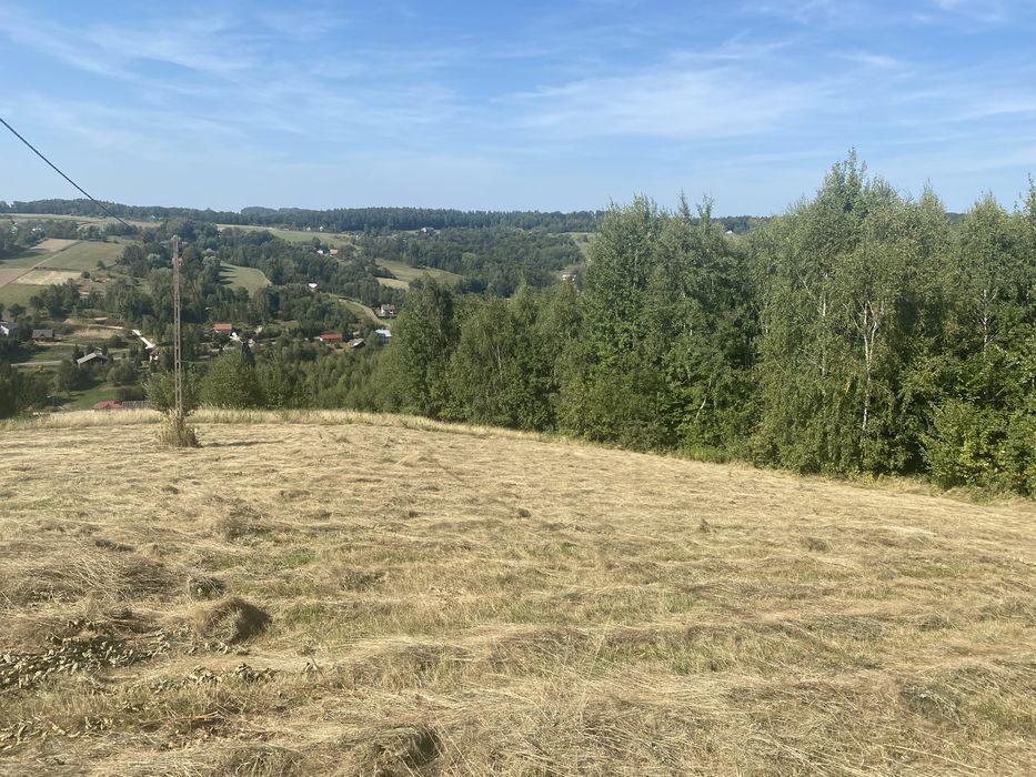 Działka rekracyjna 11 ar . Janowice