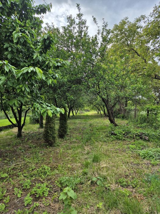 Дом по адресу Петефі Шандора пл. (площадь 61 м²) - Atlanta.ua - фото 3