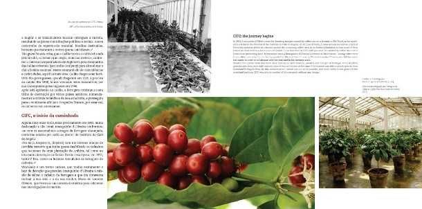Livro completo : "Conversas de Café" -> NOVO