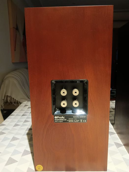 (OPORTUNIDADE) Colunas Proac D2