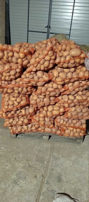 Sprzedam Ziemniaki Jadalne SORAYA 15kg  pakowane