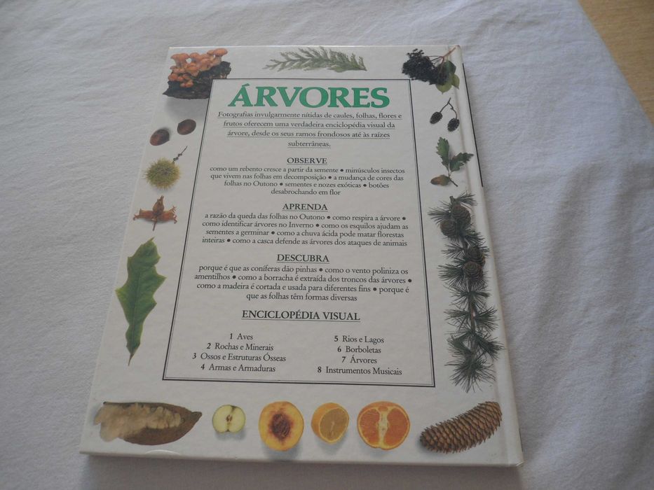 Enciclopédia Visual Verbo nº7 - Árvores