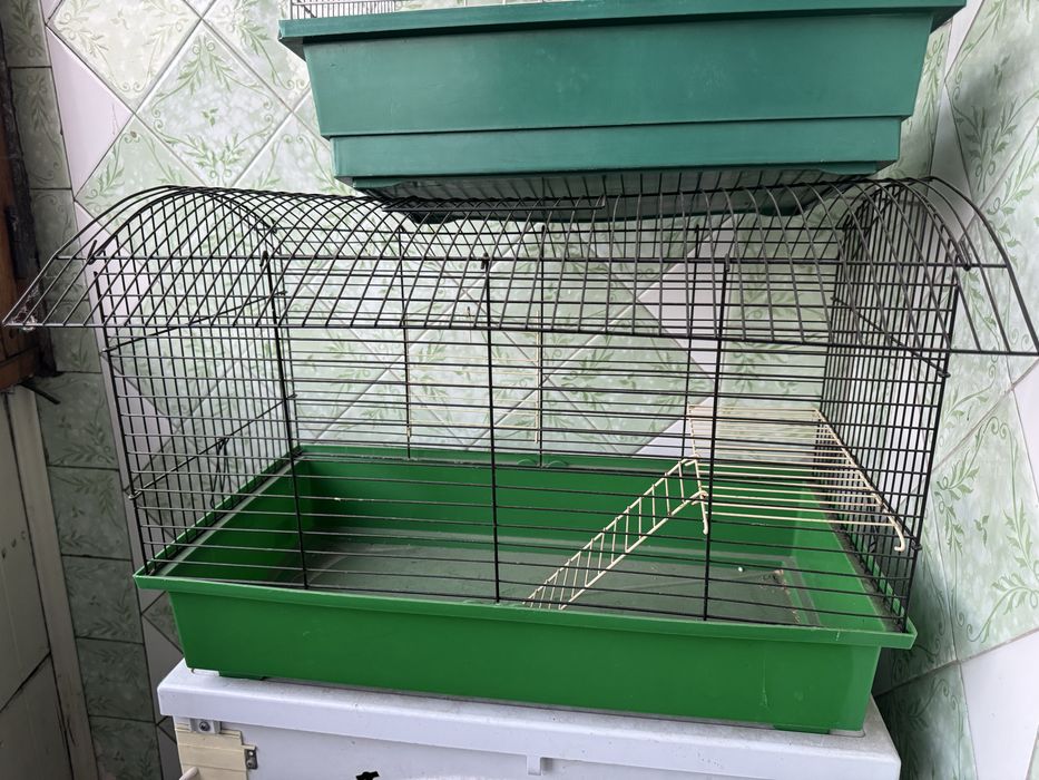 Продаи 2 клетки