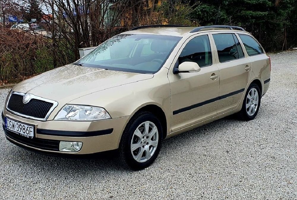 Skoda Octavia 2,0 бензин 2005 рік