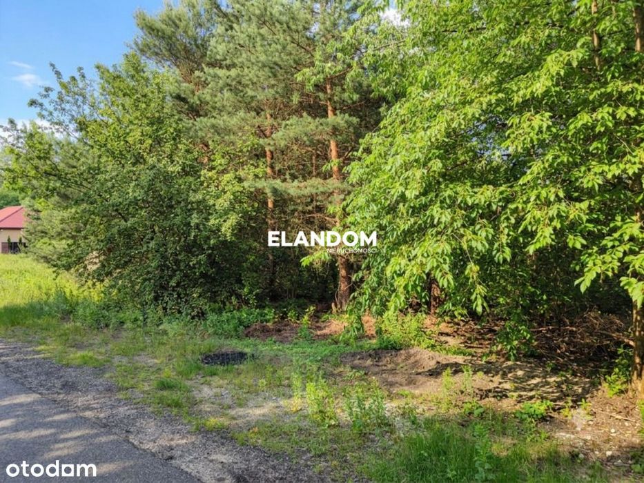 Jabłonna - działka budowlana przy lesie - Widok 4