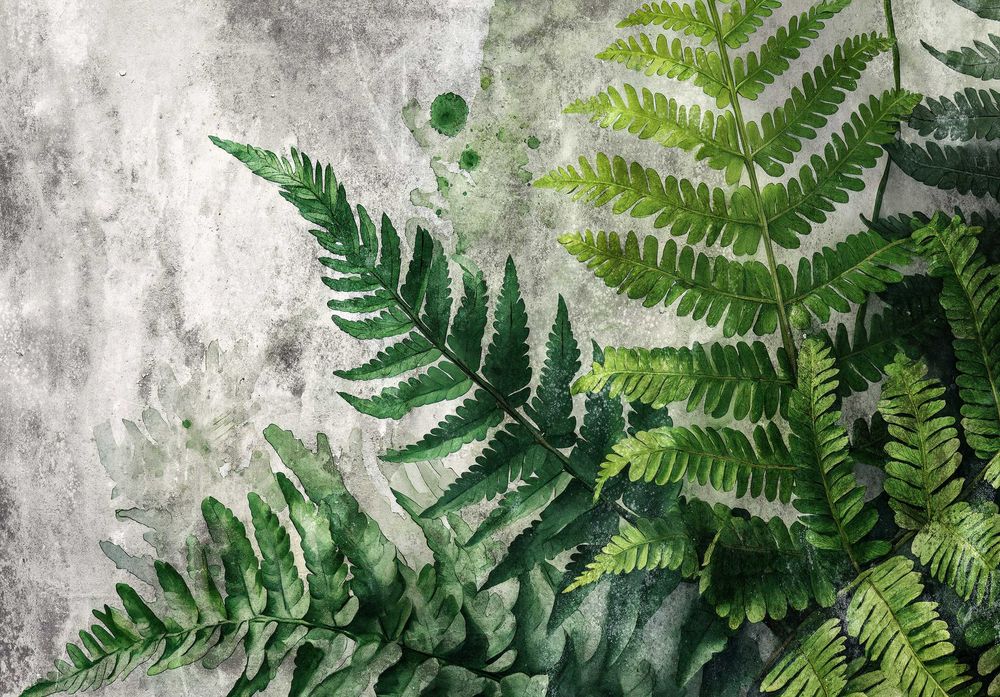 Fototapeta Natura Paproć Kwiaty Zieleń Beton 3D Twój Rozmiar + KLEJ