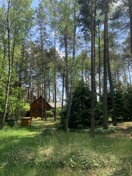 Magiczna Działka Blisko Plaży Nad Liwcem – 50 Min Od Warszawy | 1100 m² z Pięknym Domkiem - 5 min do PKP i rzeki Liwiec | Kaliska - Gmina Łochów - Widok 5